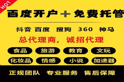 某品牌SEM广告投放的A/B测试与优化